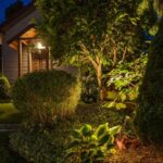 landscape lighting