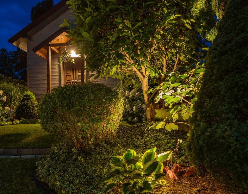 landscape lighting