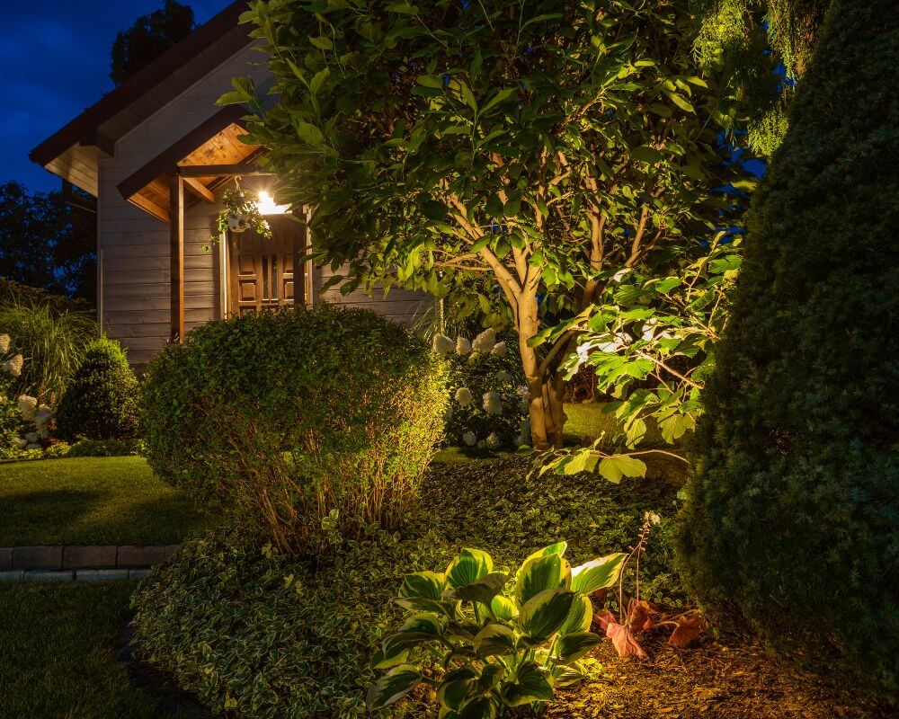 landscape lighting