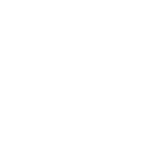 Christmas Light Installation